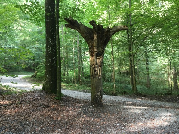 I'd be annoyed too if someone had planted me where dogs could piss on me.