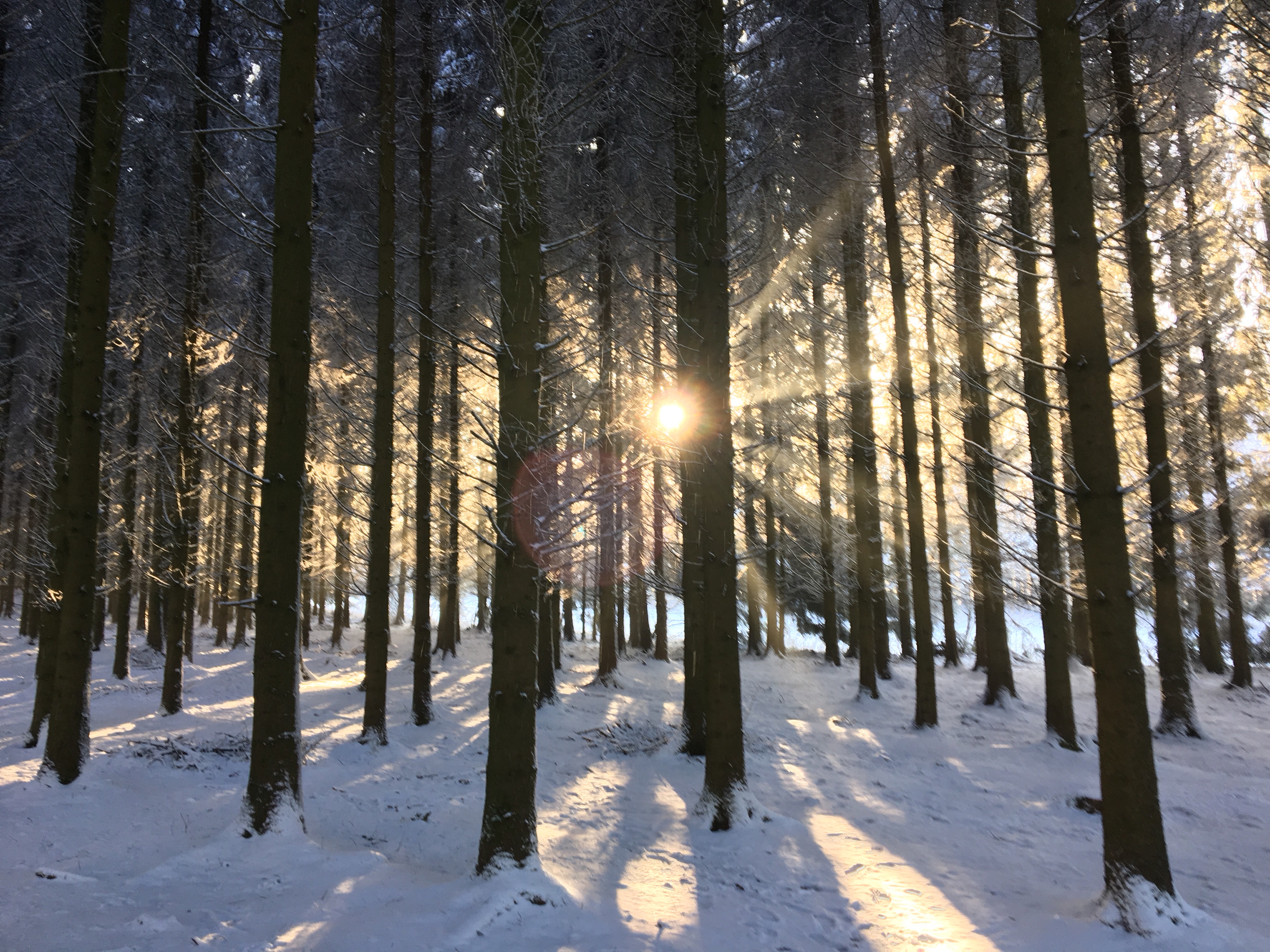 Yeah, it’s just a bit picturesque.