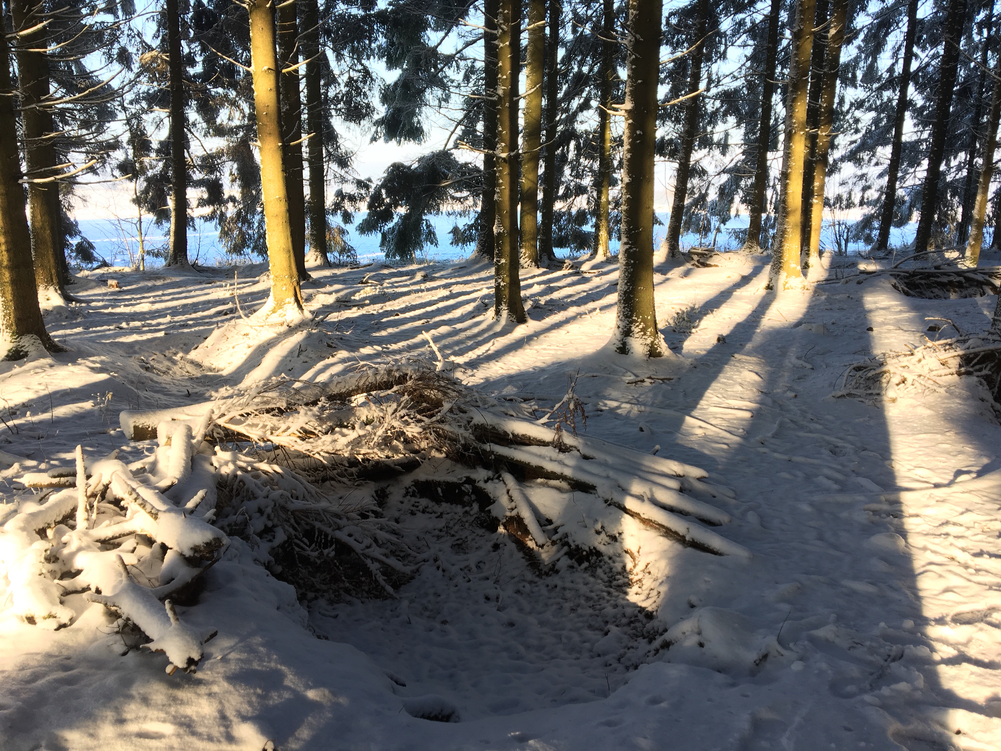 Imagine having to live in this for several weeks.