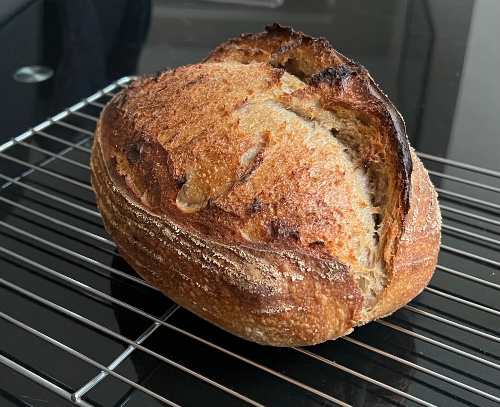 A freshly baked sourdough loaf on a metal rack.